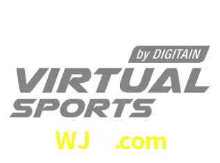 DGvirtual